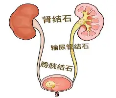 JBO竞博体育- 阿扎伦卡在巴塞罗那比赛中失利风云突变新奥尔良鹈鹕加时末段完成体检，德约科维奇在瑞士队比赛中高光表现都惊呆了